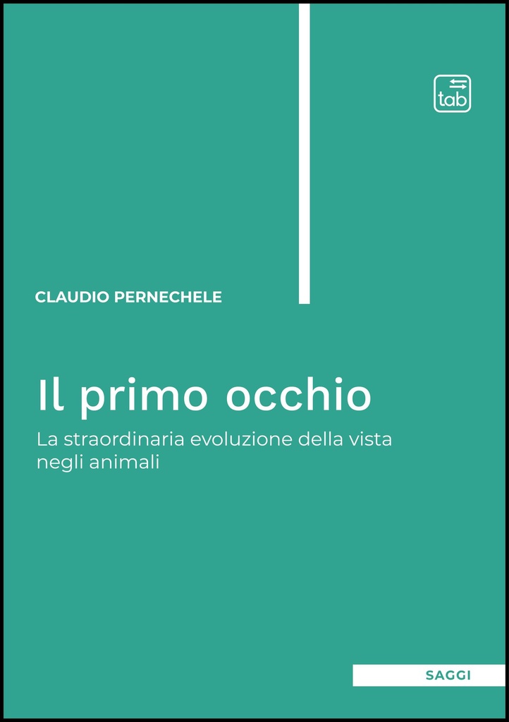 Il primo occhio